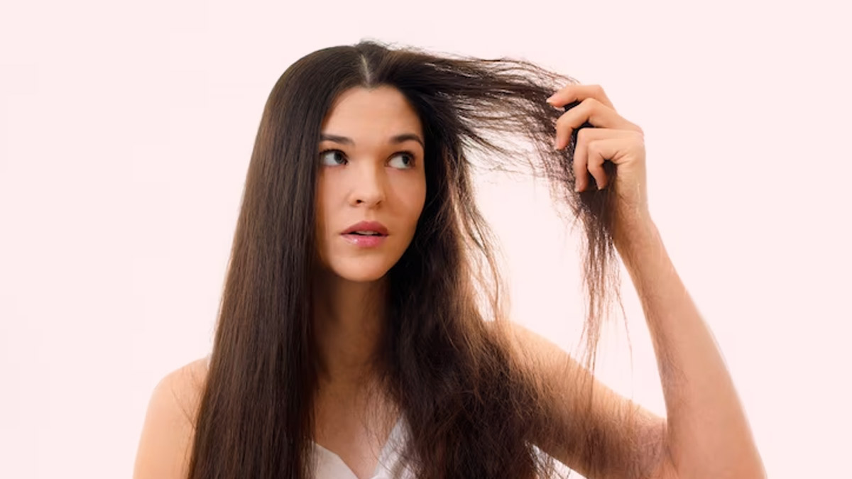 Dry Hair Remedy : உங்க தலைமுடி வறட்சியை நீக்க இந்த ஹோம் ரெமிடியை ட்ரை பண்ணுங்க!