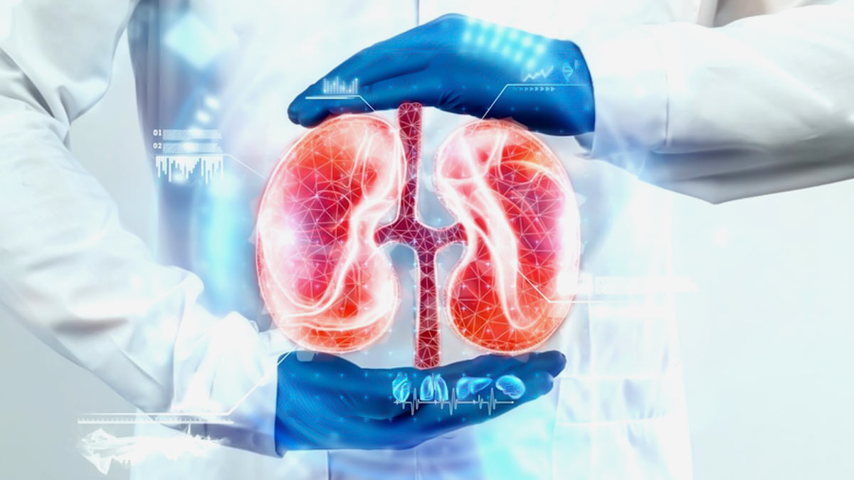 Kidney Healthy Foods: சிறுநீரகம் ஆரோக்கியமாக இருக்க என்னென்ன உணவுகள் சாப்பிடலாம்?