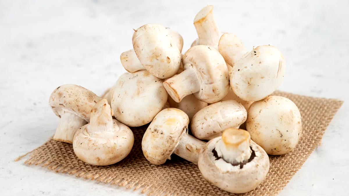 mushroom-health-benefits