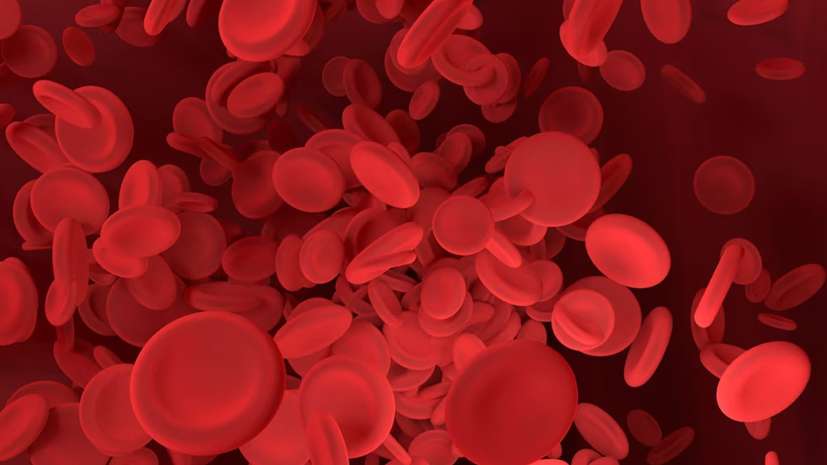 Platelet Count Increase Tips: உடலில் பிளேட்லெட்டுகள் இயற்கையாக அதிகரிப்பதற்கான வீட்டு வைத்தியம்