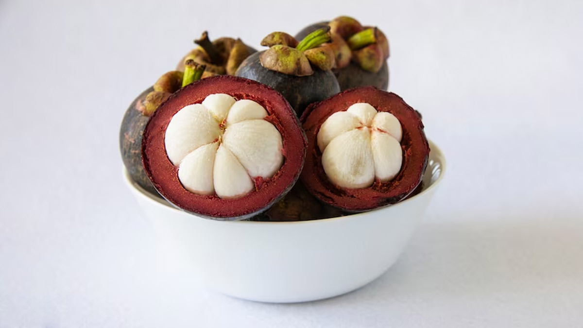 Kudampuli Benefits: குடம்புளியின் வியக்க வைக்கும் பலன்கள்!