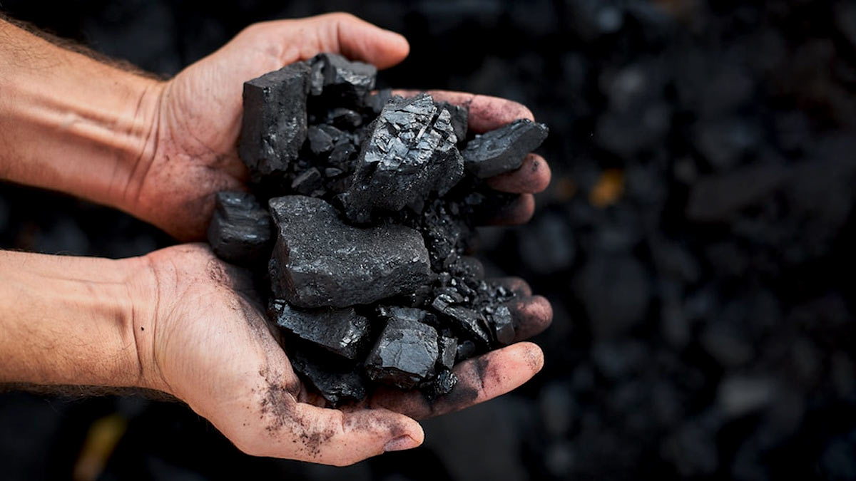 Shilajit Benefits: பெண்களுக்கு ஷிலாஜித் எவ்வளவு நன்மைகளை தரும் தரியுமா?