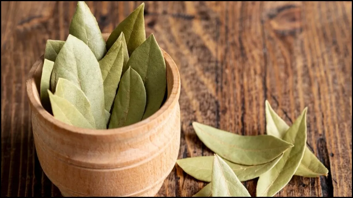 Bay Leaves Side Effects: இவர்கள் மறந்தும் தங்கள் உணவில் பிரிஞ்சி இலையை உணவில் சேர்க்க கூடாதாம்!