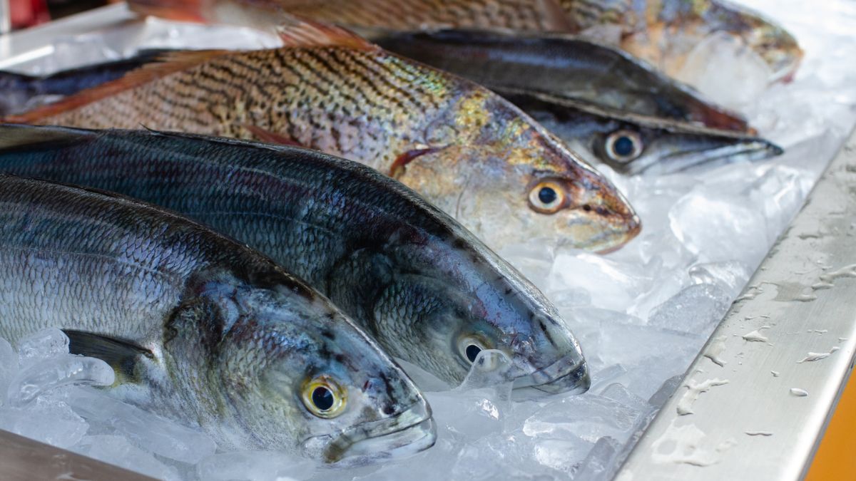 Fish Eyes Benefits: மீன் கண் சாப்பிடுவதால் கிடைக்கும் ஆரோக்கிய நன்மைகள்!