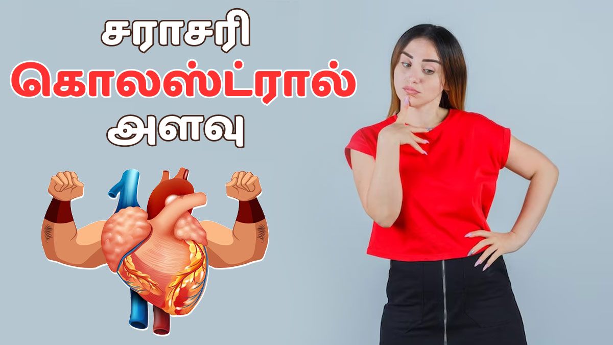 Cholesterol Levels Chart: பெண்களுக்கு சாதாரண கொலஸ்ட்ரால் அளவு என்னவாக இருக்க வேண்டும்?