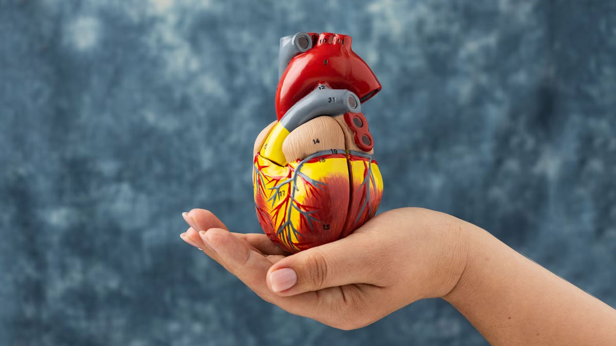 World Heart Day 2023: இதயம் ஆரோக்கியமாக இருக்க எந்த உலர் பழங்களை சாப்பிடலாம்!
