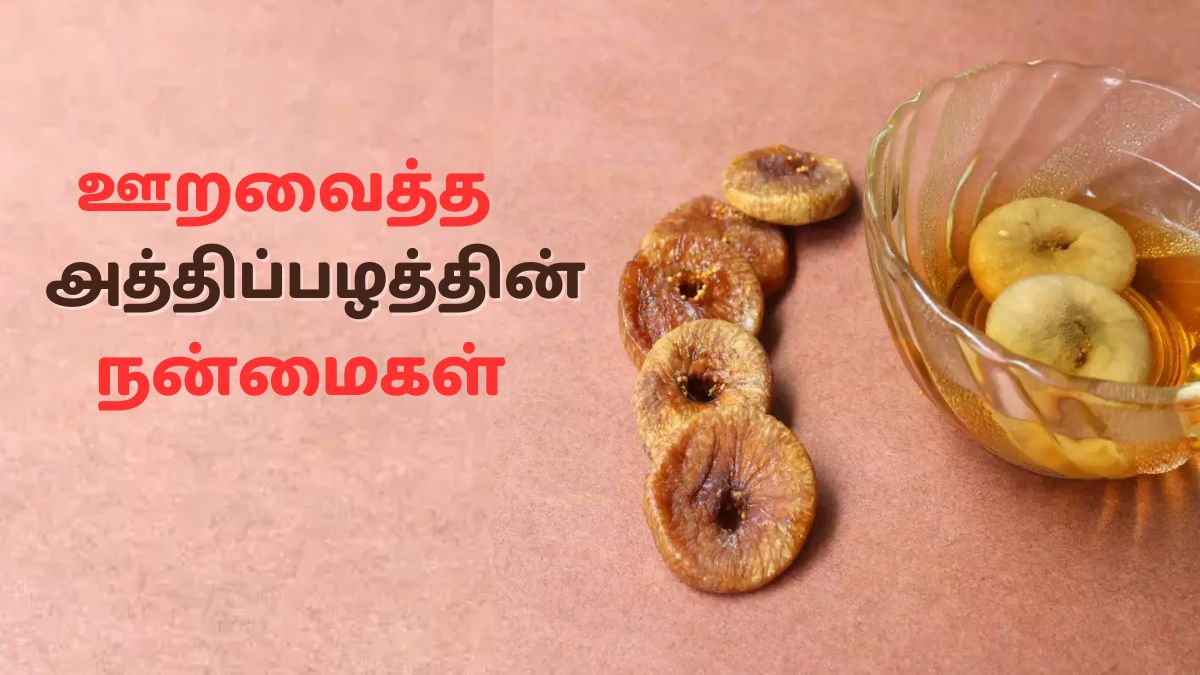 Soaked Figs Benefits: தினமும் ஊறவைத்த அத்திப்பழம் சாப்பிடுவது எவ்வளவு நல்லது தெரியுமா?