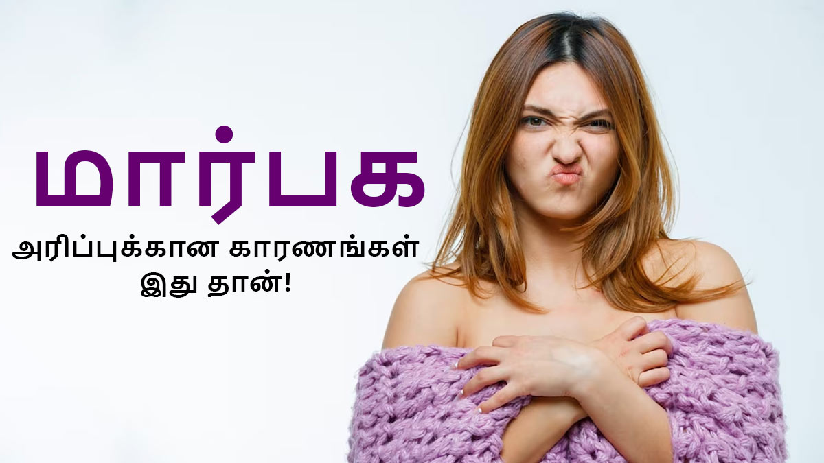 Breast Itching Reason: மார்பகங்களில் அடிக்கடி அரிப்பு ஏற்படுகிறதா? இது தான் காரணம்!