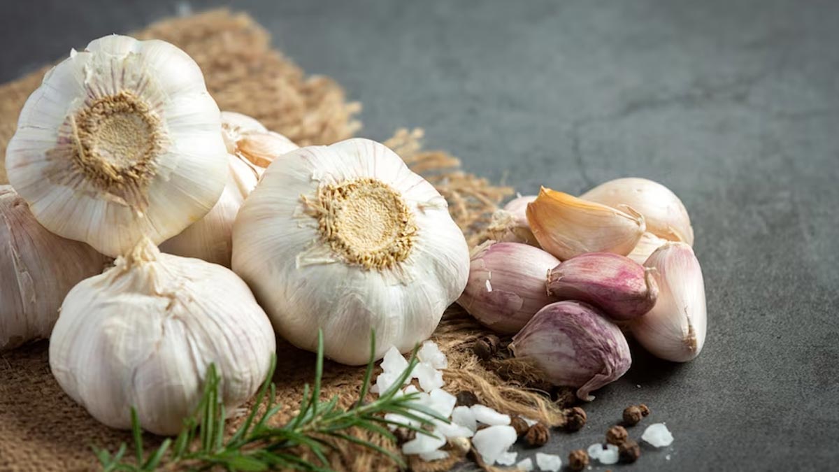 Garlic Empty Stomach Benefits: வெறும் வயிற்றில் பூண்டு சாப்பிடுங்க. இந்த நன்மைகள் எல்லாம் கிடைக்கும்
