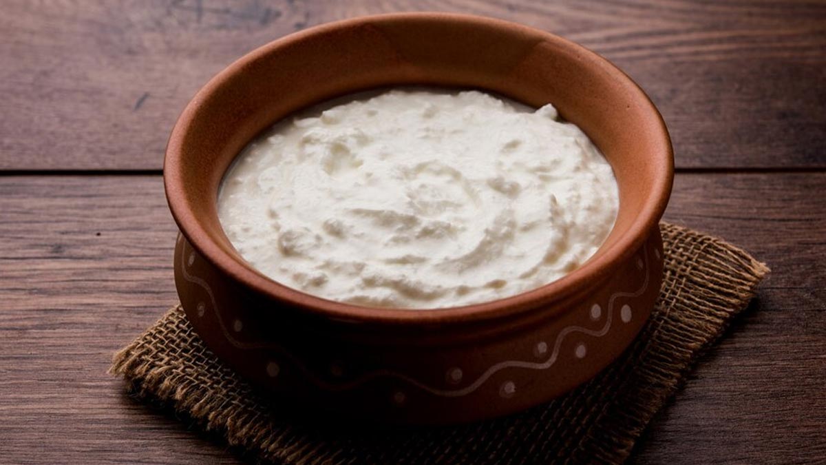 Greek Yogurt Benefits: உணவில் கிரேக்க தயிர் சேர்ப்பதால் கிடைக்கும் ஆரோக்கிய நன்மைகள்