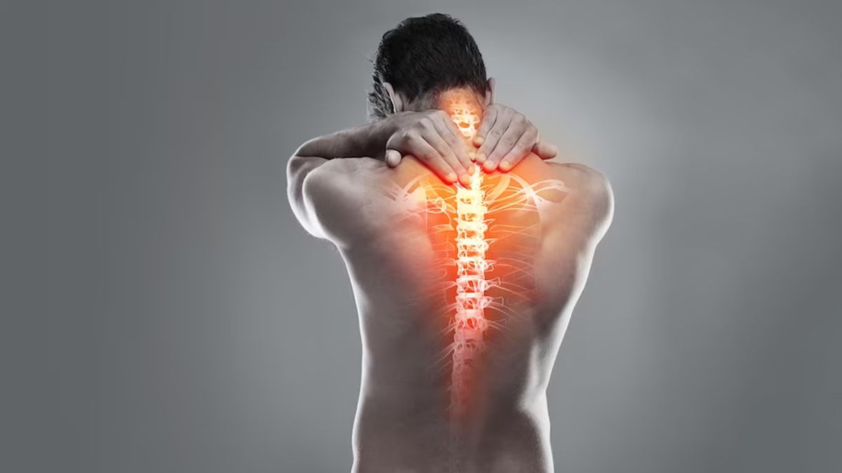 Healthy Bones Tips: எலும்புகளை வலுப்படுத்த இந்த காய்கறிகளை சாப்பிடுங்கள்!