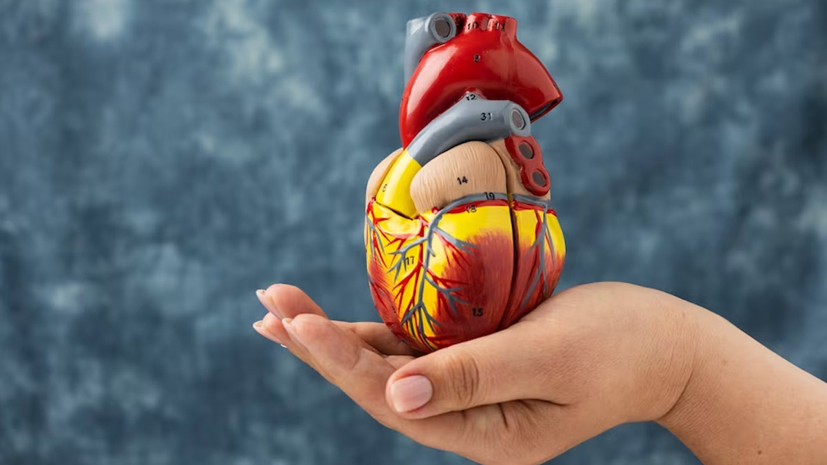 Heart Beat Problem: இதயத் துடிப்புகள் இப்படி இருக்கிறதா? கவனிக்க வேண்டிய முக்கிய விஷயம்!