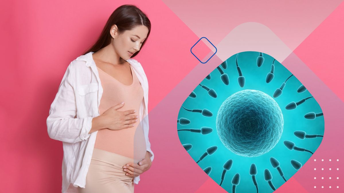 Pregnancy Tips: ஒரு பெண் கருத்தரிக்க ஆணின் விந்தணு எண்ணிக்கை என்னவாக இருக்க வேண்டும்?