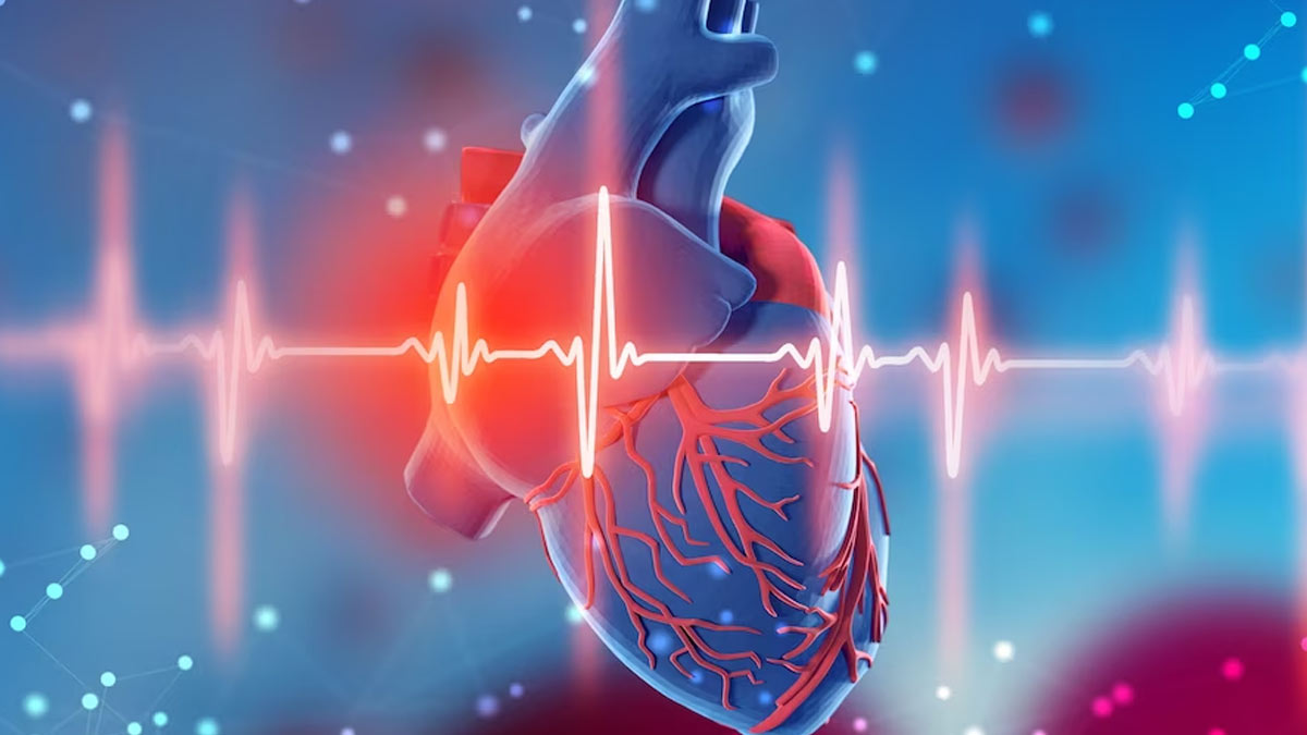 Healthy Heart Tips: வலுவான இதய அமைப்பை உருவாக்க இதை பாளோ பண்ணுங்க!