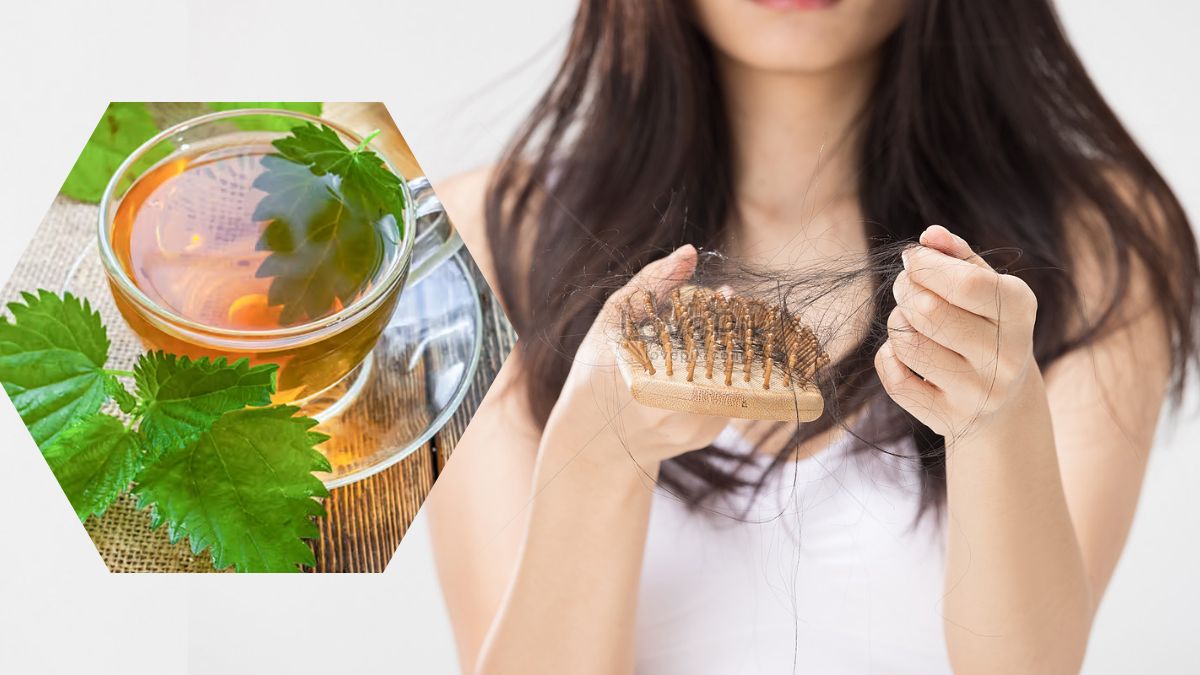 Nettle for Hair: முடி உதிர்வு பிரச்சினைக்கு ஒரே வாரத்தில் முடிவுகட்டும் நெட்டில் இலை டீ!