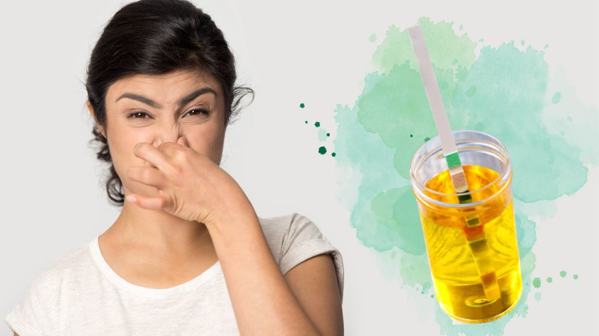 smelly-urine-causes