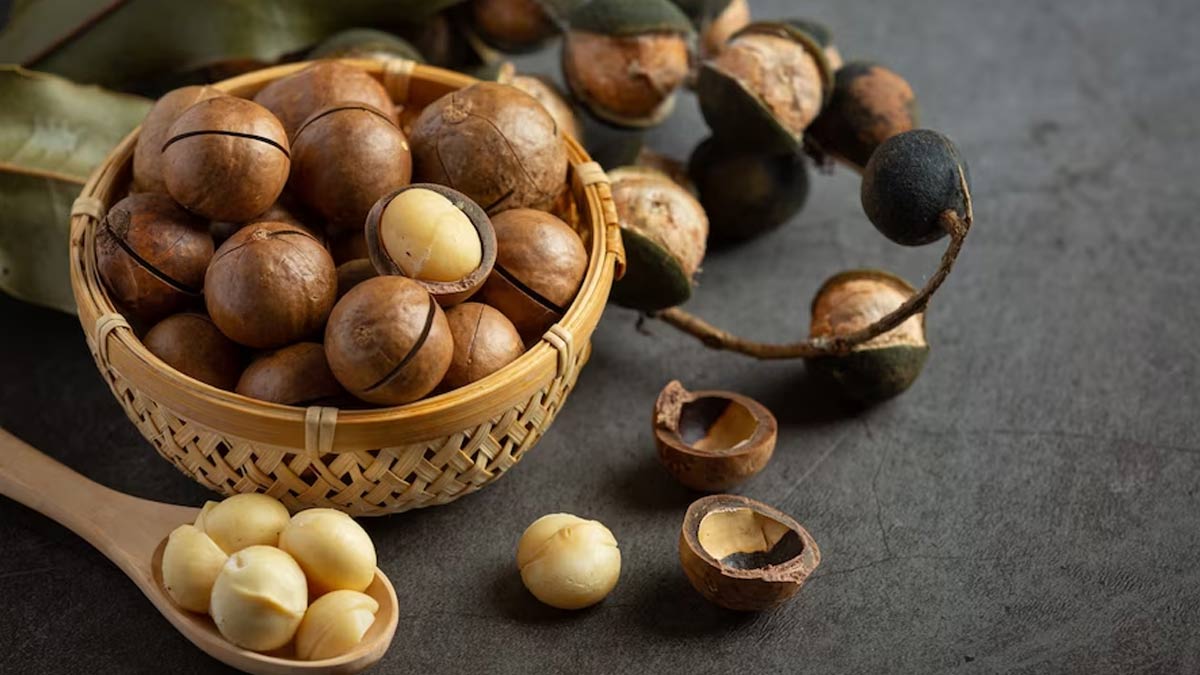 Macadamia Nuts Benefits: மக்காடமியா நட்ஸில் இவ்வளவு நன்மைகள் இருக்கா?