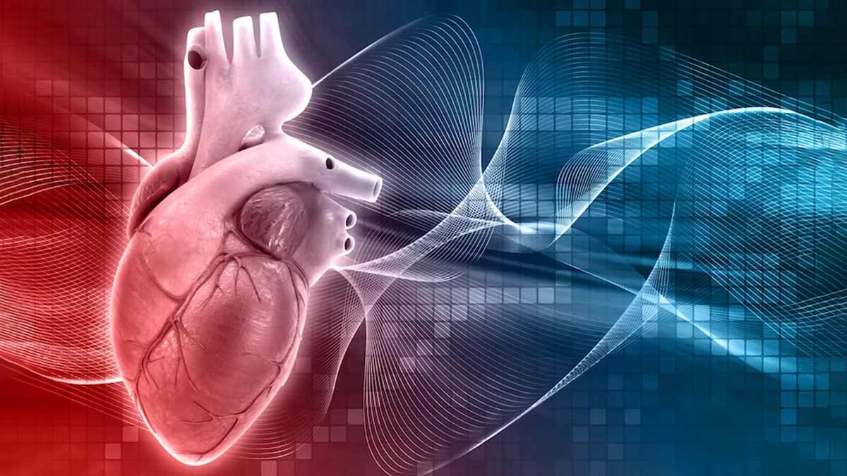 Heart attack and stroke: உஷார்; லேட் நைட்டில் இதைச் செய்வதால் மாரடைப்பு வரலாம்!