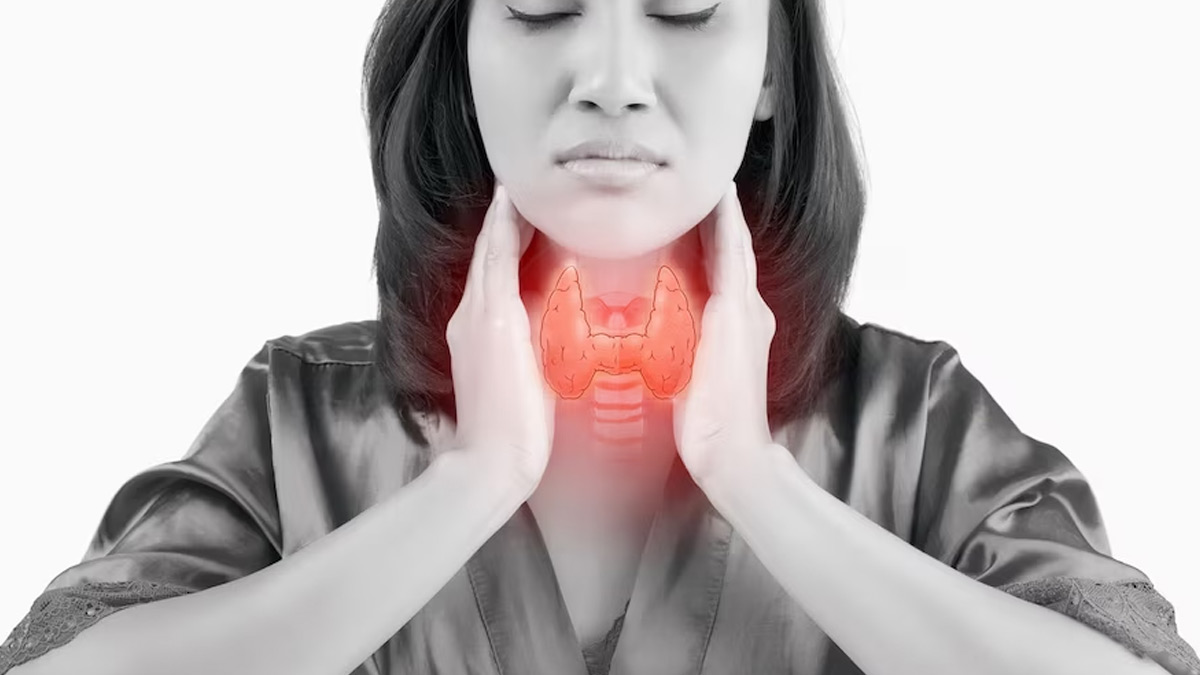 Thyroid Foods: சிறந்த தைராய்டு செயல்பாட்டுக்கு நீங்க சாப்பிட வேண்டிய உணவுகள்