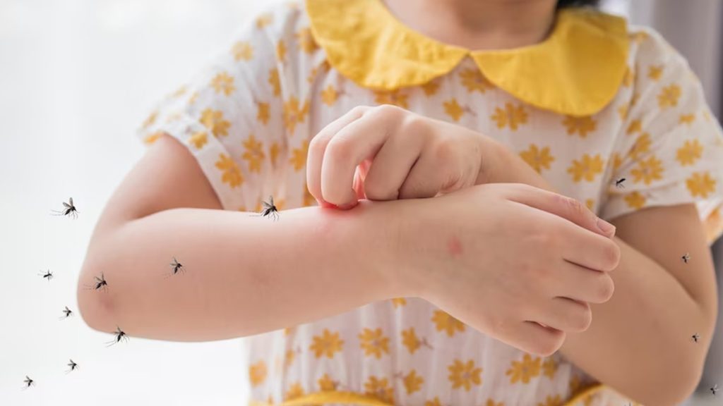 how-to-keep-children-safe-from-dengue-fever