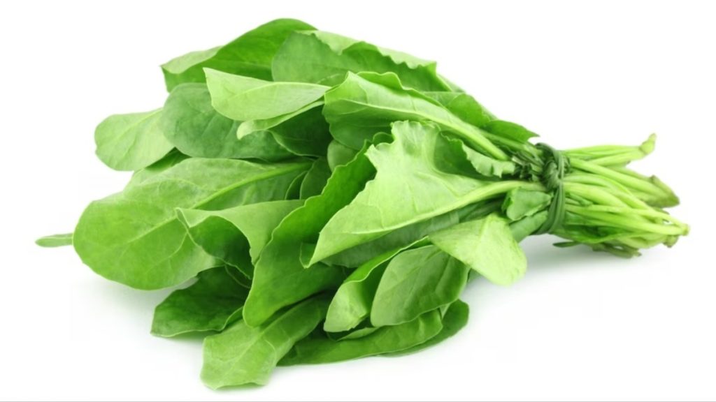best-anti-aging-foods-to-look-younger 