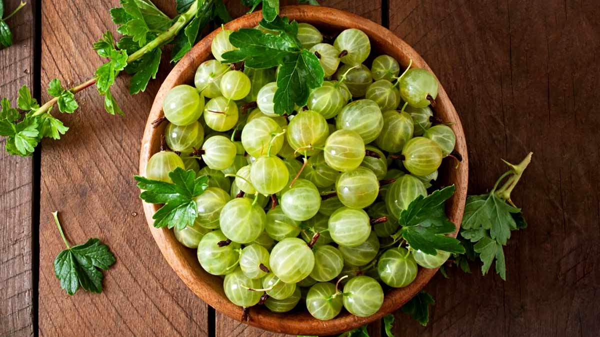 Amla For Hair: முடி அடர்த்தியாக வளர நெல்லிக்காயை இப்படி யூஸ் பண்ணுங்க!