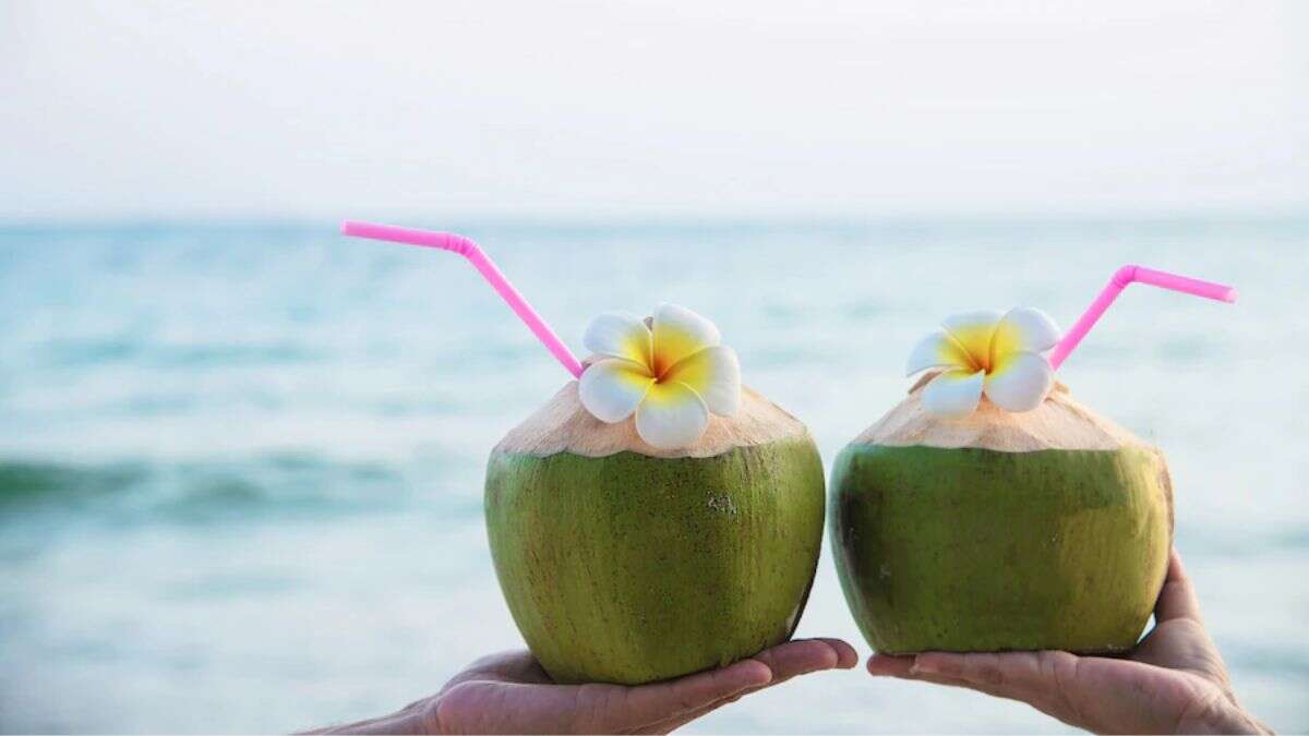 Coconut water: வெயில் காலத்தில் இளநீர் குடிக்க சிறந்த நேரம் எது? முழு விவரம் இங்கே!