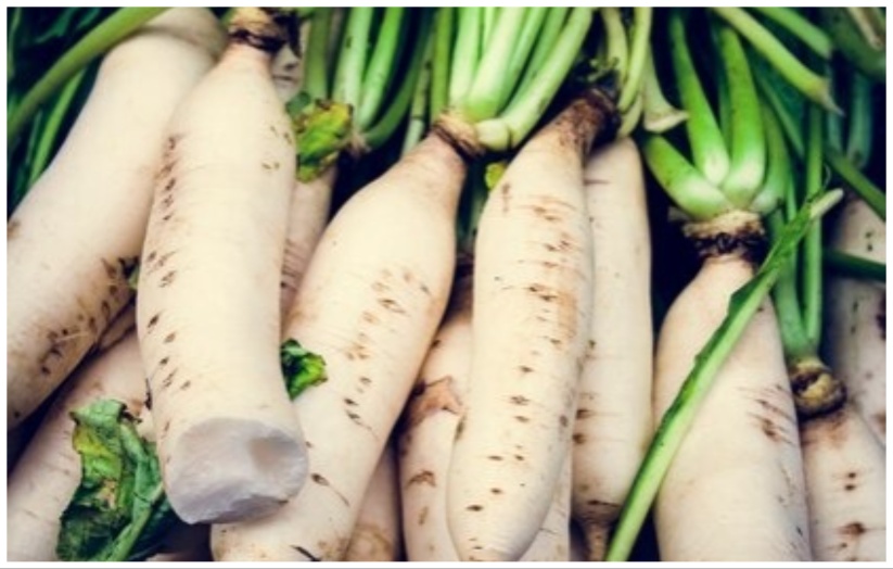 don't-consume-these-foods-with-bitter-gourd