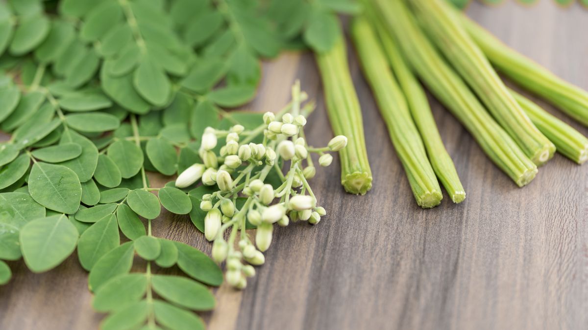 அசந்துப்போவீங்க.. முருங்கையில் நிரூபிக்கப்பட்ட நன்மைகள்!