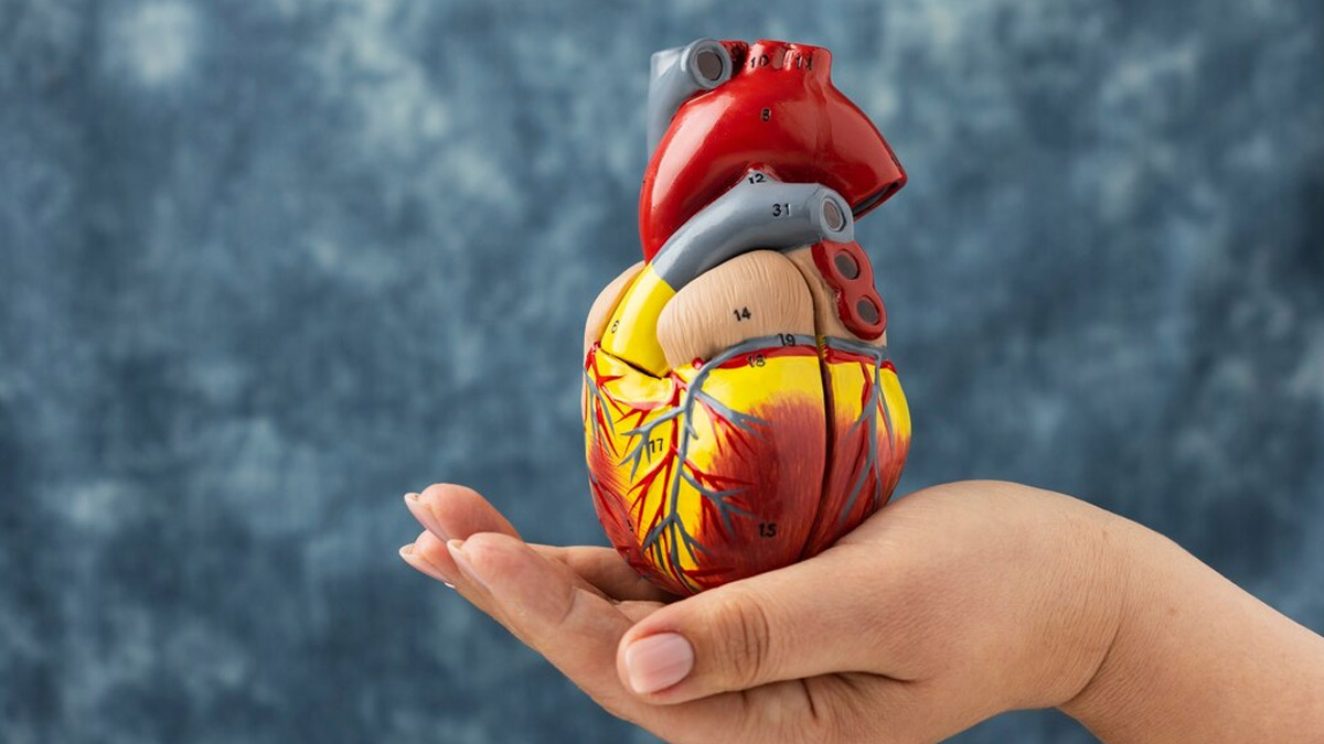 Heart Health: தினமும் இந்த 4 பயிற்சிகளை செய்தால் போதும் இதயம் ஆரோக்கியமாக இருக்கும்!