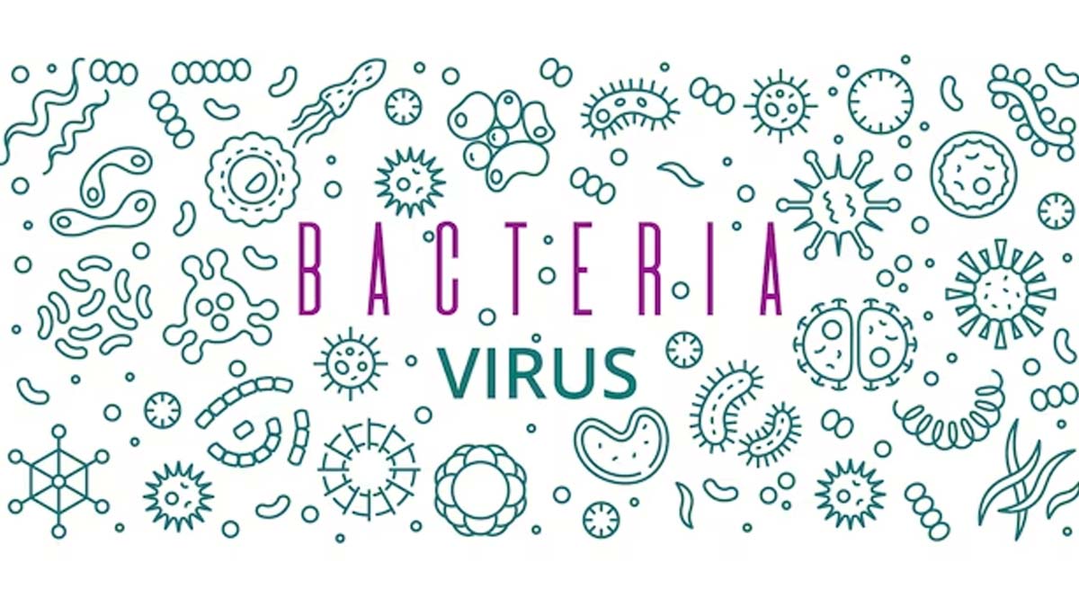 Bacterial Infection Prevention: பாக்டீரியா தொற்றுகளை எவ்வாறு தடுப்பது?