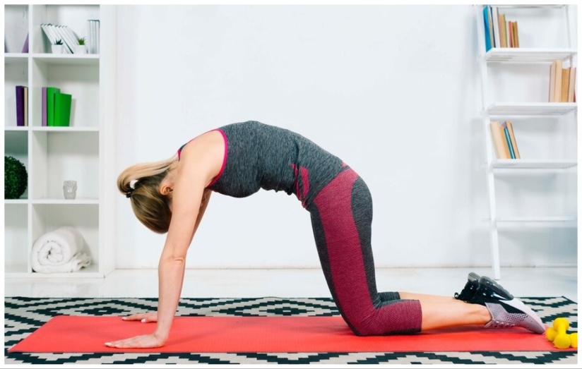 top-five-effective-exercises-to-relieve-lower-back-pain