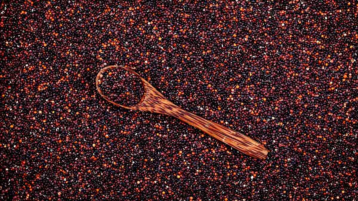 International Year Of Millets 2023: கேழ்வரகு சாப்பிடுவதால் என்னென்ன நன்மைகள் கிடைக்கும் தெரியுமா?