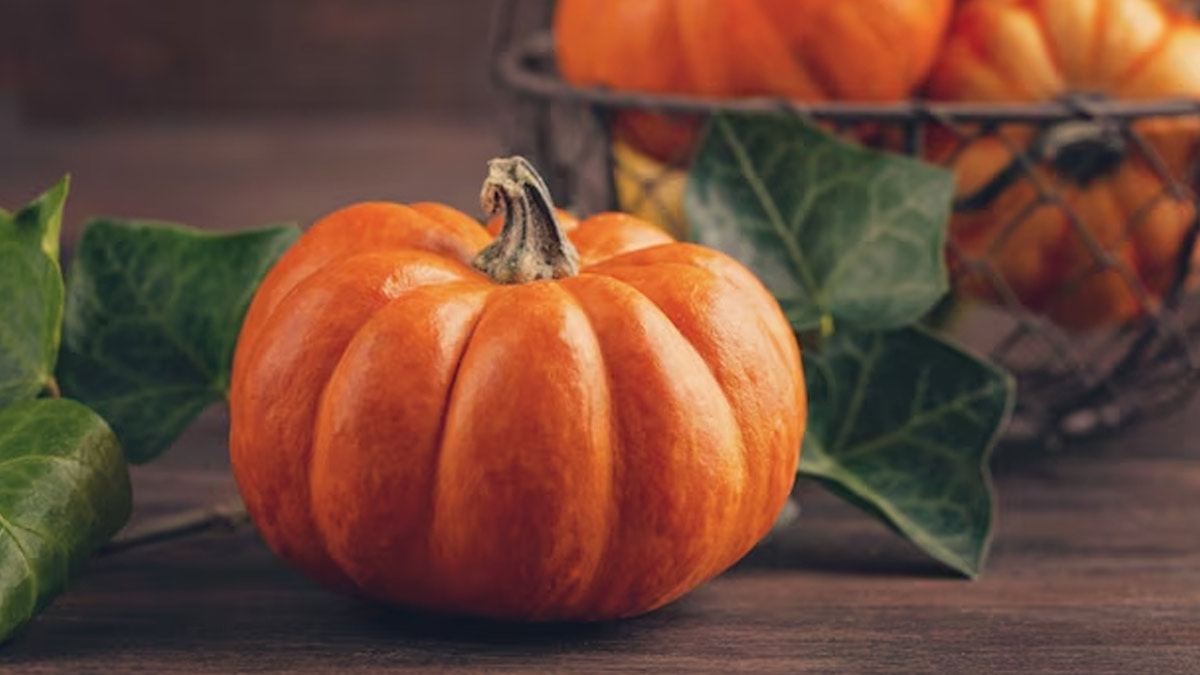 Pumpkin Benefits: பூசணிக்காயின் அற்புதமான ஆரோக்கிய நன்மைகள்!