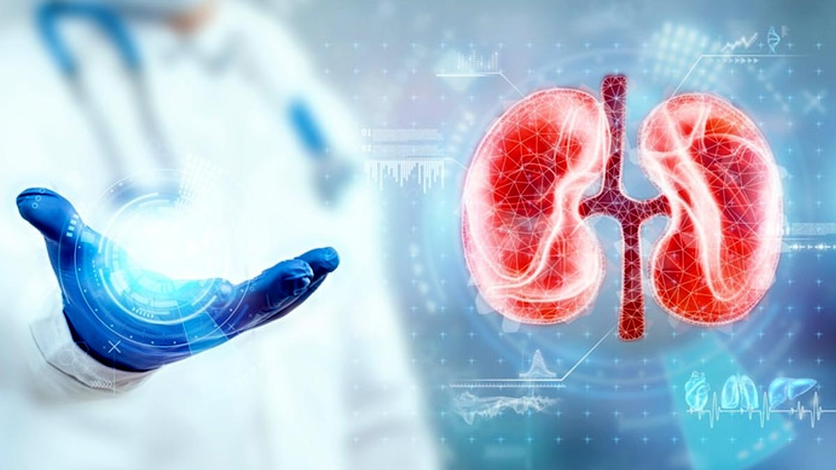 Kidney Health Foods: கிட்னி நல்லா இருக்க கட்டாயம் தவிர்க்க வேண்டிய உணவுகள்