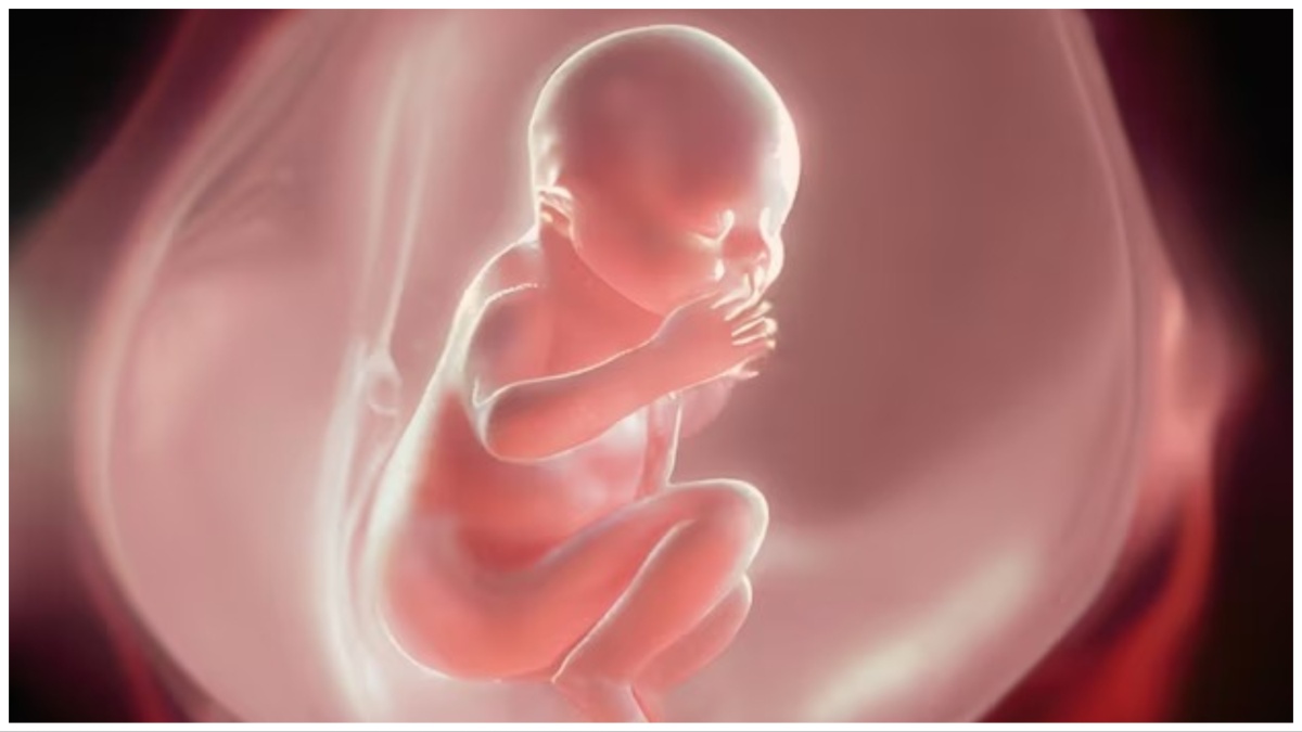 Baby Brain Food: கருவிலேயே குழந்தையின் மூளை வளர்ச்சியை அதிகரிக்க உதவும் உணவுகள் எவை?