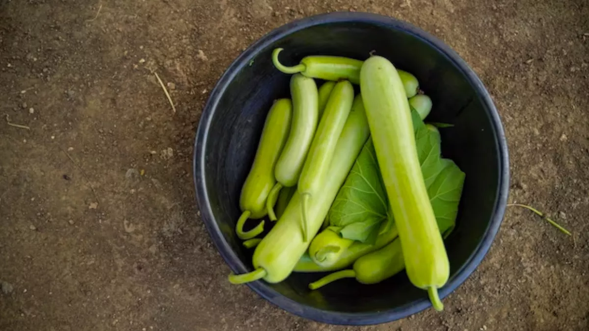 Bottle Gourd: இவர்க எல்லாம் கனவில் கூட சுரைக்காய் சாப்பிட கூடாது ஏன் தெரியுமா?