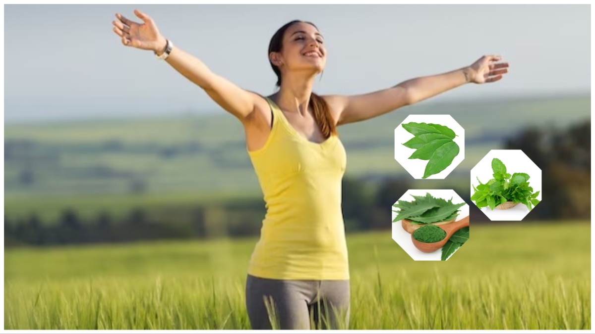 Medicinal Plants: இந்த 5 மூலிகைகள் உங்கள் வீட்டில் இருந்தால் போதும்… தொற்று நோய்கள் கிட்ட நெருங்காது!