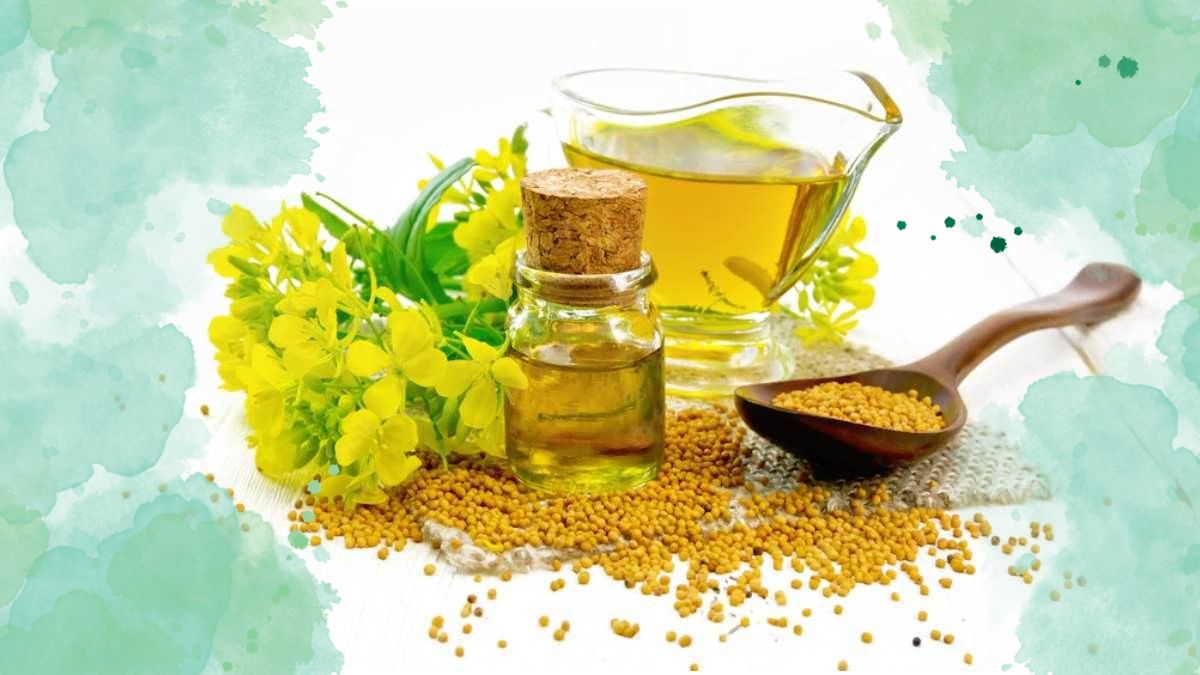 Mustard Oil: தூங்கும் முன் தினமும் இரவு உள்ளங்காலில் கடுகு எண்ணெய் தடவினால் இவ்வளவு நல்லதா?
