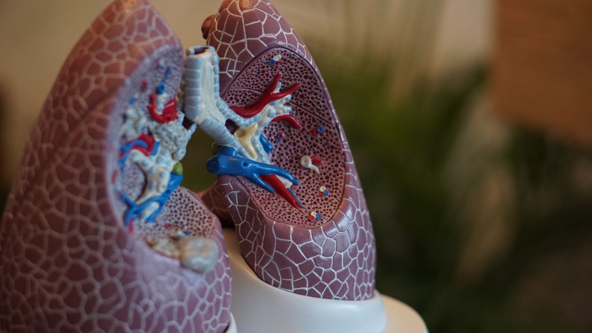 COPD Diet: நாள்பட்ட நுரையீரல் தொற்று உள்ளவர்கள் சாப்பிட வேண்டிய உணவுகள்!