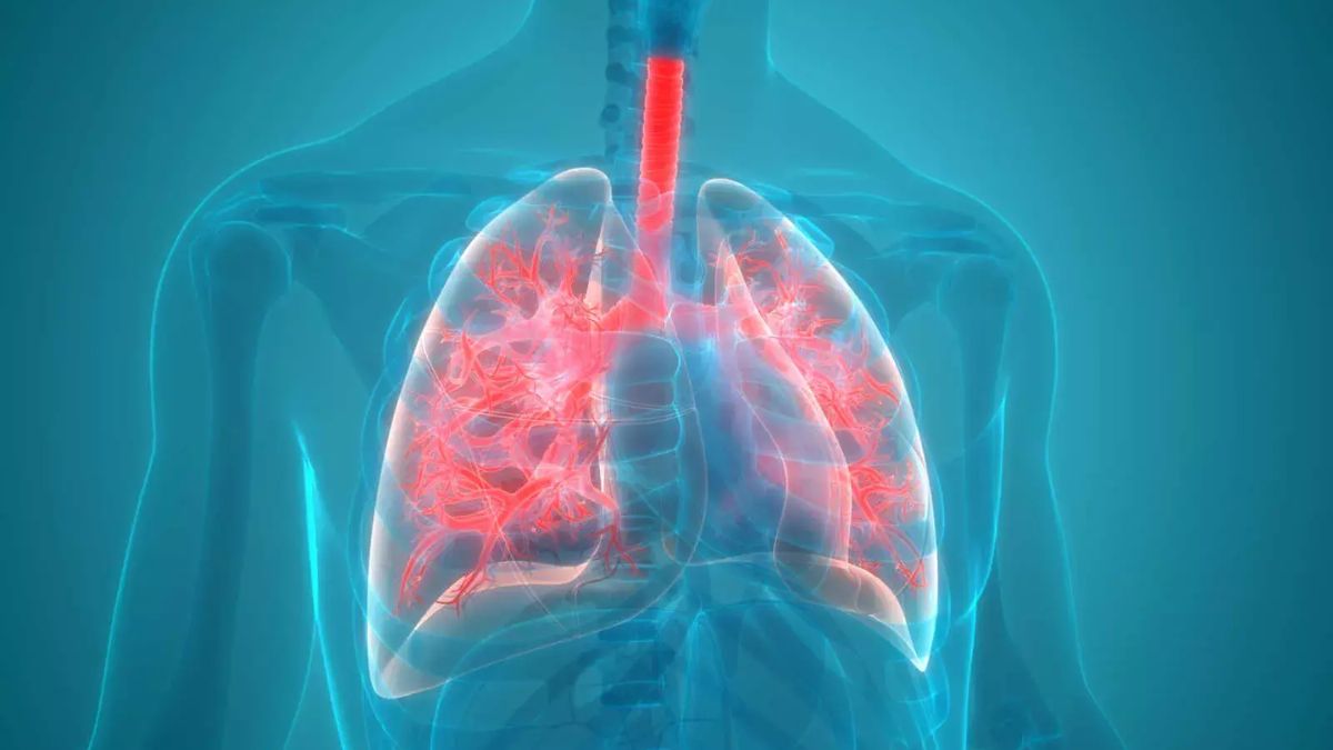 Yoga For Pneumonia: நிமோனியா காய்ச்சலில் இருந்து உங்களை பாதுகாக்கும் யோகாசனம்!