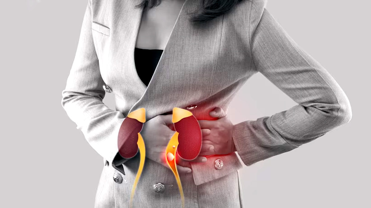 Acute Kidney Disease: கடுமையான சிறுநீரக செயலிழப்புக்கு பின்பற்ற வேண்டிய உணவுமுறைகள்