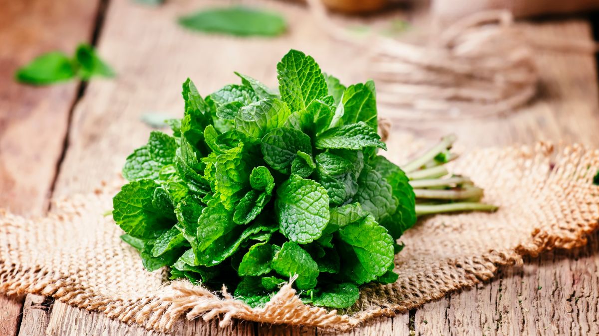 Mint Health Benefits: இந்த ஃப்ரஸ் கிரீன் இலையில் இத்தனை நன்மைகள் இருக்கா?