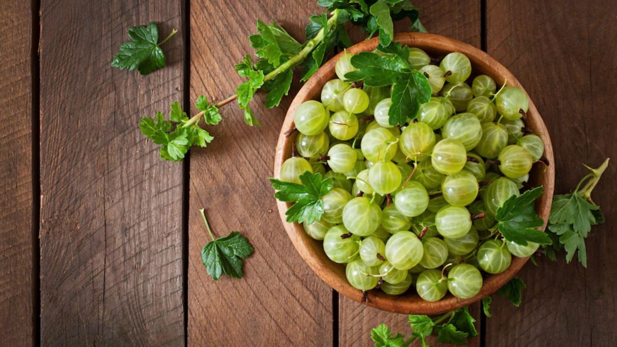 Daily Amla Benefits: தினமும் ஒரு நெல்லிக்கனி சாப்பிட்டா உடலுக்கு கிடைக்கும் பொக்கிஷ நன்மைகள் இதோ