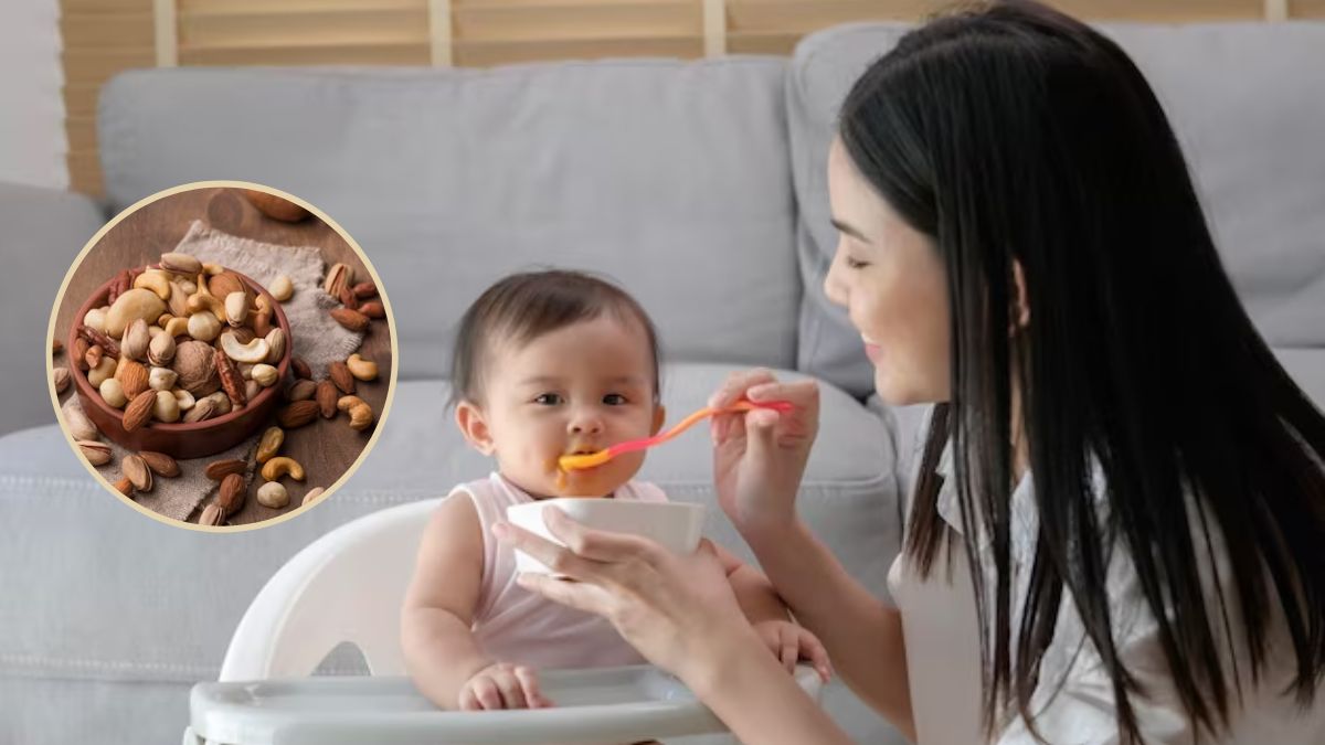 Nuts For Babies: 6 மாத குழந்தைக்கு நட்ஸ் கொடுக்கணுமா? அப்ப இப்படி கொடுங்க.
