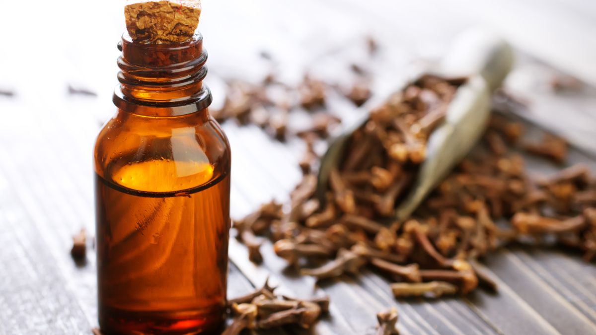 Clove Oil for Hair: கூந்தல் வளர்ச்சிக்கு உதவும் மாயாஜால எண்ணெய்! வெறும் இரண்டே பொருள்கள் போதும்