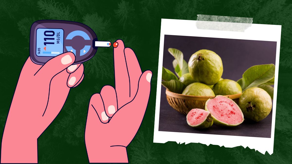 Pink Guava fruit : சர்க்கரை நோயாளிகளுக்கு வரப்பிரசாதம்; சிவப்பு கொய்யாவின் நன்மைகள் இதோ!