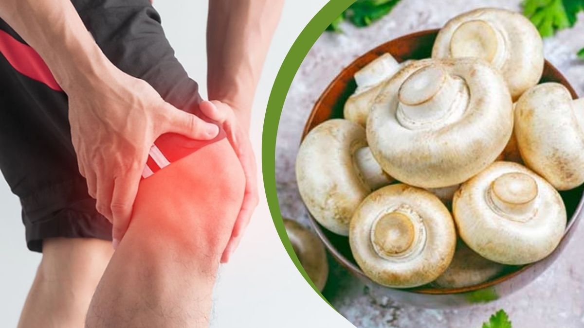 Mushroom Health Benefits: முழங்கால் வழியை நீக்கும் காளான்; எப்படி சாப்பிடணும்?