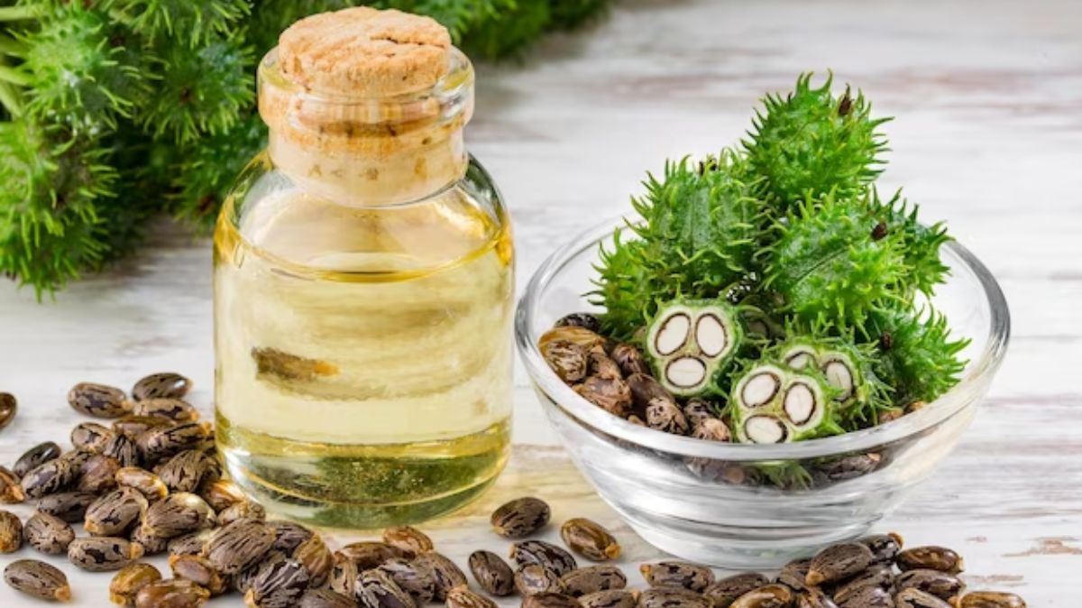 Amanakku Oil Benefits: ஆமணக்கு எண்ணெயில் இவ்வளவு நல்லது இருக்கா.?