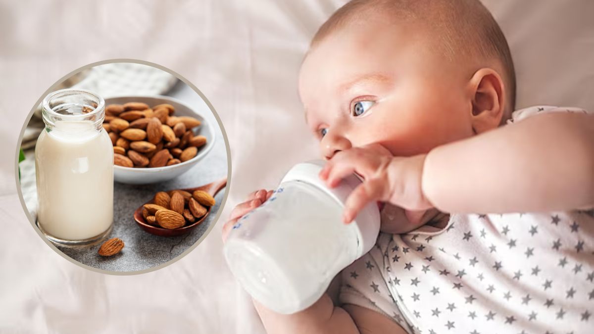Almond Milk For Babies: இது தெரிஞ்சா இனி குழந்தைக்கு தினமும் பாதாம் பால் கொடுப்பீங்க.